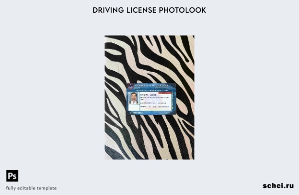 цифровая загрузка шаблона Пакистан DL Photolook FRONT